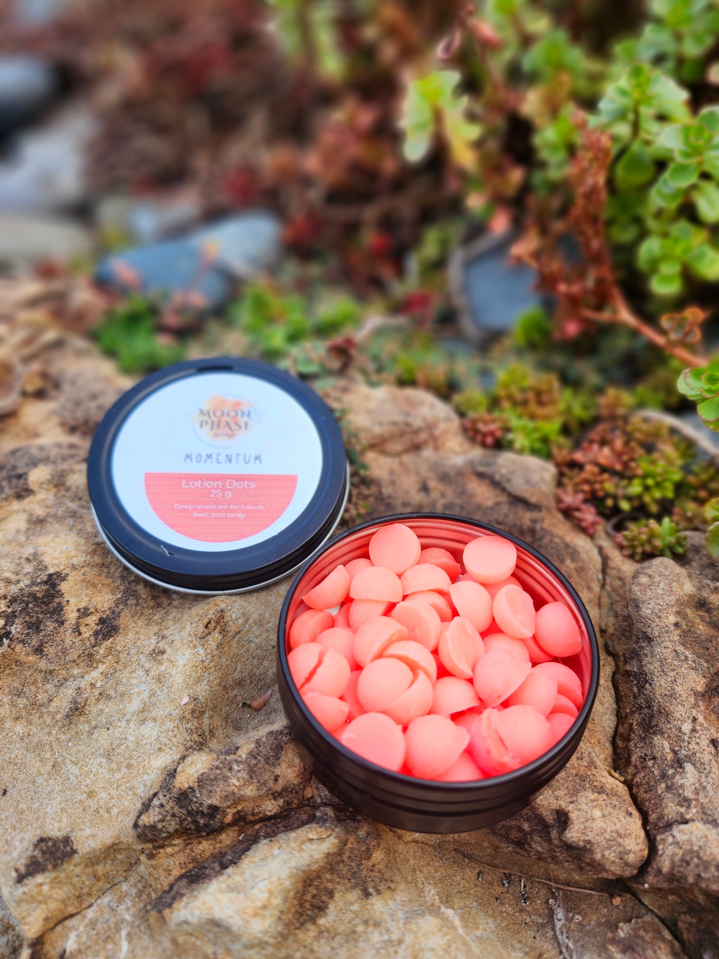 Momentum Lotion Dot and Bar Soap Bundle